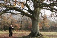 standing qigong under oak tree
