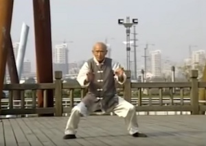 90 year old doing kung fu