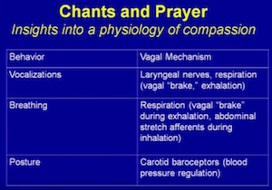 powerpoint slide on biology of prayer