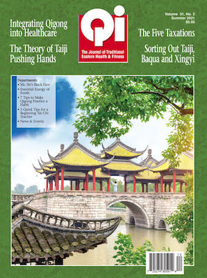 qi journal summer 2021 issue cover